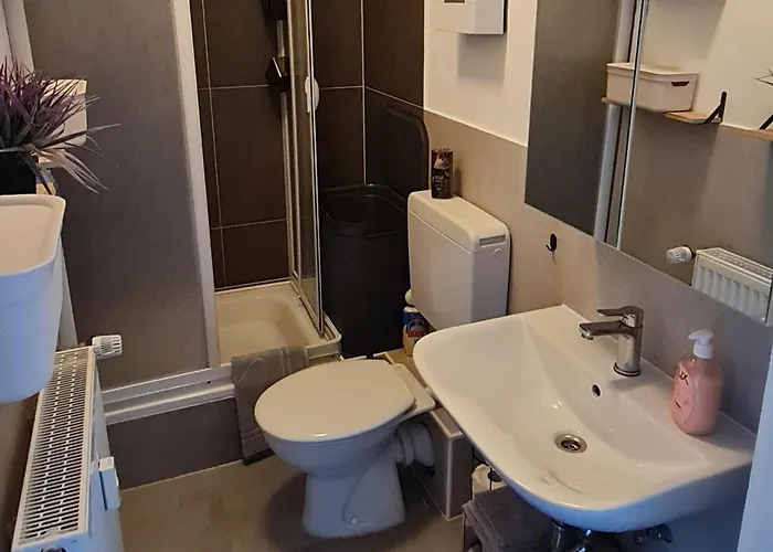 Moderne, Zentral Gelegene 2-zimmer-wohnung Fuer 4 Personen, Ideal Fuer Monteure, Messegaenger Und Touristen Lejlighed *